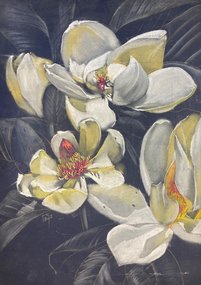 Магнолия (год не указан, бум,пастель, 70x50, арт. 12К.29) - 8 500 ₽