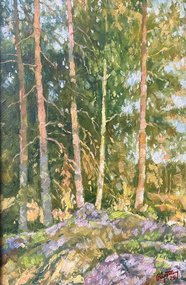 Карелия (2025, х.к.м., 30x20, арт. 109к8) - 5 100 ₽