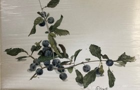 Терн (2015, б.акв., 19x27, арт. 42К.042) - 3 400 ₽