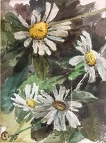 Ромашки (2015, б.акв., 14x10.5, арт. 42К.45) - 5 100 ₽