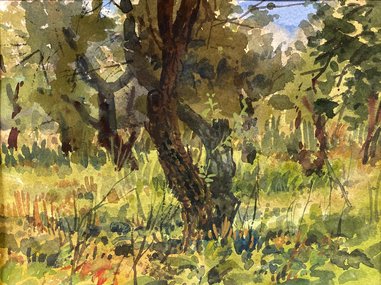 Царицыно летом (2022, б.акв., 16.5x22, арт. 42К.61) - 5 100 ₽