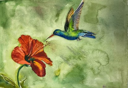 Колибри (год не указан, бум.,акв.,пастель, 21x30, арт. 12К.12) - 1 700 ₽