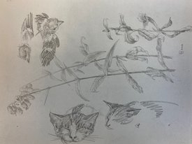 Флора и фауна (2010, бум.кар., 19x26, арт. 42К.0005) - 1 700 ₽