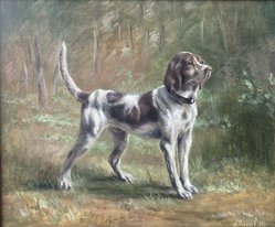 Ищейка, копия Розы Банер (2019, х.м., 50x60, арт. 107К.3) - 60 000 ₽