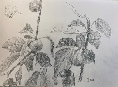 Яблоня (2010, бум.кар., 20x27, арт. 42К.0007) - 1 700 ₽