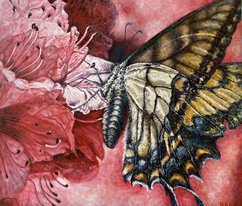 Бабочка (2024, х.акр., 70x82, арт. 48к08) - 42 500 ₽