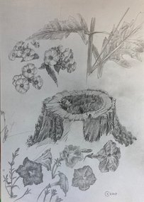 Пень и цветы (2010, бум.кар., 27x19, арт. 42К.00012) - 1 700 ₽