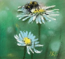 Ромашки (год не указан, бум,пастель, 13x14.5, арт. 12К.05) - 1 700 ₽
