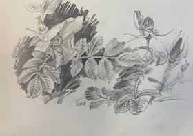 Шиповник (2008, бум.кар., 18x27, арт. 42К.00014) - 1 700 ₽