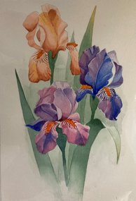 Ирисы 3 (2023, б.акв., 40x30, арт. 94К.017) - 2 000 ₽
