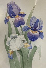 Ирисы (2022, б.акв., 40x30, арт. 94К.15) - 2 000 ₽