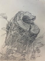 Старый пень (2008, бум.кар., 25x20, арт. 42К.0009) - 1 700 ₽