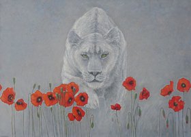 Иллюзия (2016, х.м., 50x70, арт. 35К.80) - 50 000 ₽