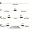 mikrotik gper гигабитный пассивный ethernet-повторитель