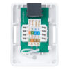 компьютерная розетка rj-45 cabeus ws-8p8c-cat.6-1