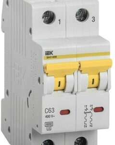 Выключатель автоматический модульный 2п C 63А 6кА ВА47-60M IEK MVA31-2-063-C